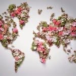 European brands in 🇲🇳 - @ivy_onlineshop - Instagram