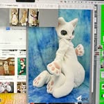 ivy - @ivyontheinternet - Instagram
