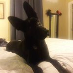 Ivy_Post_ - @ivy_post_ - Instagram