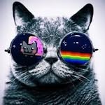 Ivy Pratt~ Cat lover🐱🐱🐱 - @catsrockyo45 - Instagram