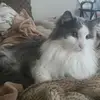 Ivy Riley - @ivy.m.reilly - TikTok