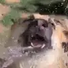 ivy.reillyimmanuel.s - @ivy.reillyimmanue - TikTok