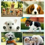 Ruffina Ivy - @ruffinaivy - Instagram