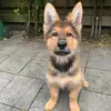 ivyshepherd_ - @ivyshepherd_ - TikTok