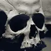 IvyTam - @ivytam39 - TikTok