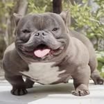 Ivy wallace - @ivy_wallace.0 - Instagram