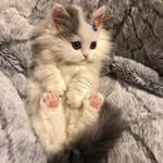 Iwona Borowicz - @iwonaborowicz - Instagram