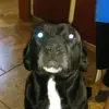 adamsonizzy72 - @adamsonizzy72 - TikTok