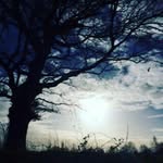 izzy davies - @izzyphotographyxo_ - Instagram