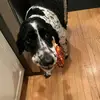 Izzy Goldstein - @izzy.goldstein - TikTok