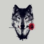Izzy Gomez - @izzy_gomez_xp - Instagram