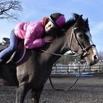 Izzy Goodman - @my.bay.pony.xx - Instagram