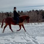@dressage.izzysquires - Instagram