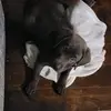 izzyvasquez638 - @izzyvasquez638 - TikTok