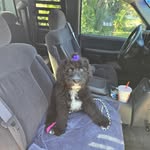 Jab Smith - @jab.smith.359 - Instagram