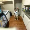 Jabari Ray - @jabariray - TikTok
