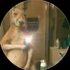 jabel lopez - @jabel.lopez - TikTok