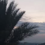 Jaber Ali - @jaberali7777op - Instagram