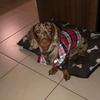 jack abbott - @jack.abbott3 - TikTok