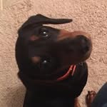 Wood GA - @jaccainaacacagad245 - Instagram