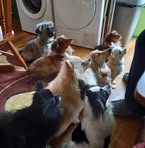 Jacqui Carver - Facebook