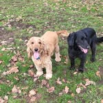 jac clarke - @jacclarke3 - Instagram
