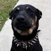 Jace_evans - @jace_evans - TikTok