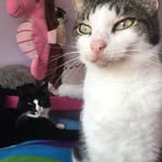 Meg+Jack Graysmark - @meg.jack.graysmark - Instagram