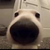 Jack - @jack.mason.69 - TikTok
