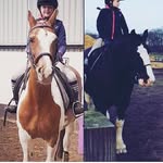 Jacey-+-comet-+-murphy 😍😍😍 - @jacey_comet_murphy - Instagram