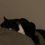 Jacob Murray - Facebook