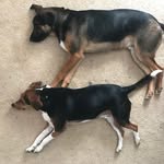 Oliver + Jacks - @oliverandjacks - Instagram