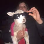 jack patterson - @_jacpatterson - Instagram