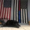 jacepeters669 - @jacepeters669 - TikTok