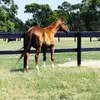 BlackwoodPark - @jacphillips2 - TikTok