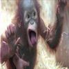 jack.schmidt - @jack.schmidt - TikTok