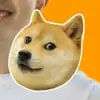JackShaw - @jackshaw001 - TikTok