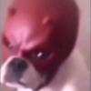 Jac - @jacstevens22 - TikTok