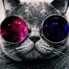 Jace Stewart - @jace.stewart1 - TikTok