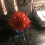 Jackie Wright - @jacwright699 - Instagram