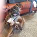 Jacalyn Poff - Facebook
