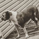 Jace Beck - @jacebeck1 - Instagram