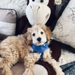 Jace Benoit  - Facebook
