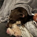 Jace Ferguson - Facebook
