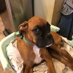 Jace Harris - @jaceharris62 - Instagram