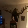 Jase Harris - @jaseharris8 - TikTok
