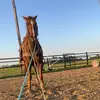 Jace Johnston - @jace_johnston_08 - TikTok