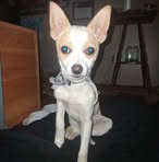 Jace Kelley - Facebook
