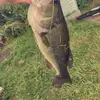 Jace Kelley - @jace.kelley15 - TikTok