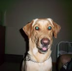 Jace Kirk - Facebook